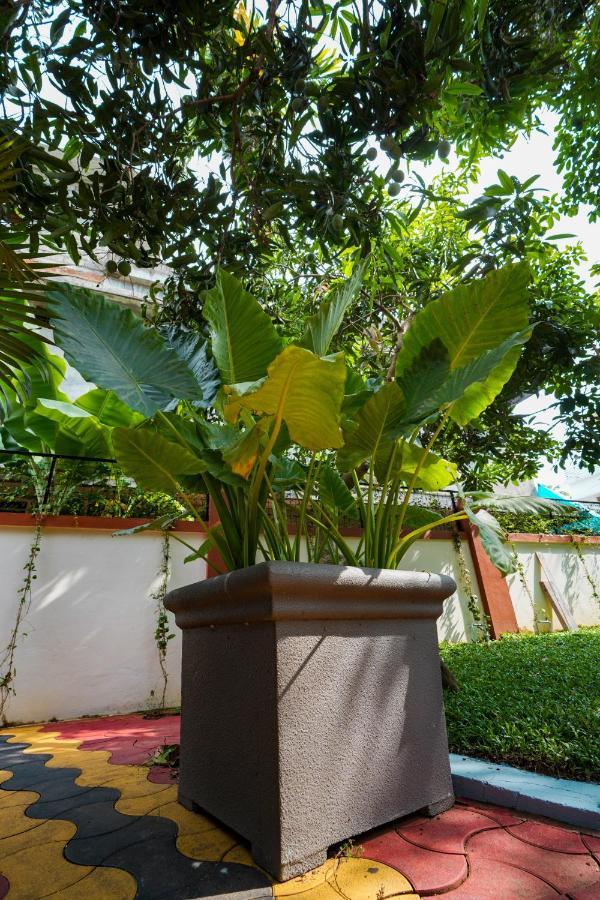 Parudeesa - Heavenly- Luxurious Palace Look-Near Cbd - Kerala - India With Breakfast Kaladi Luaran gambar
